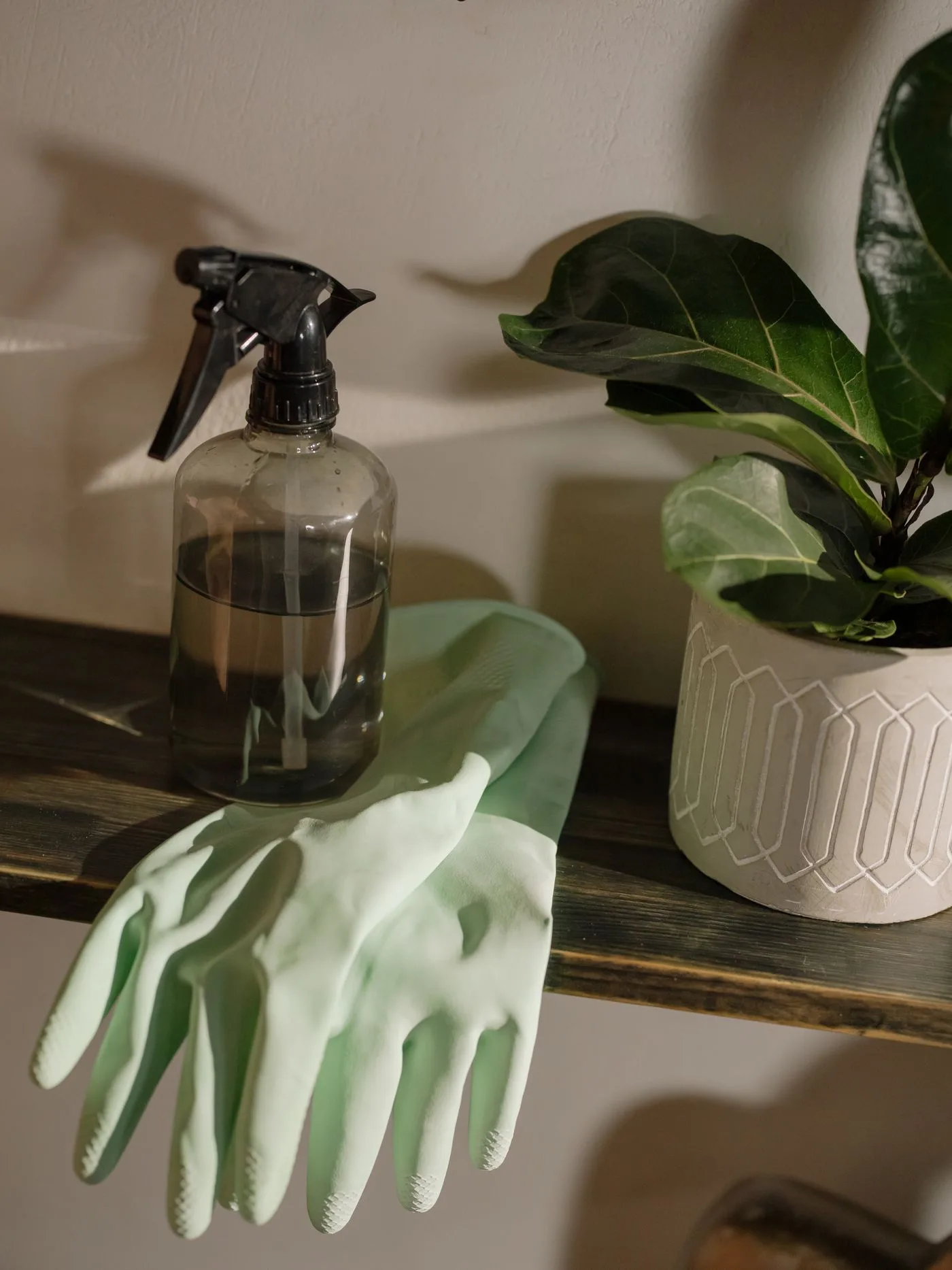 Cleaning cloths and a spray bottle beside a plant